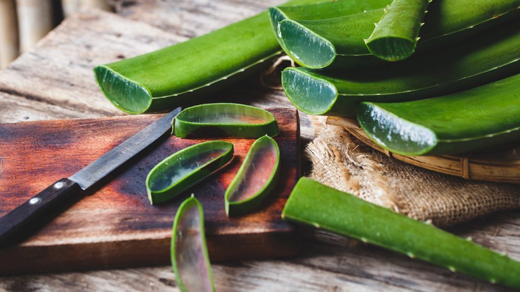 Aloe vera: 8 health benefits