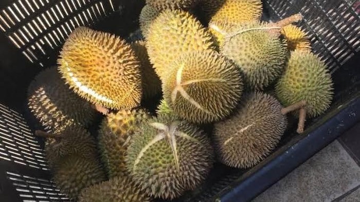 Manfaat Tak Terduga Dalam Buah Durian Bagi Kesehatan